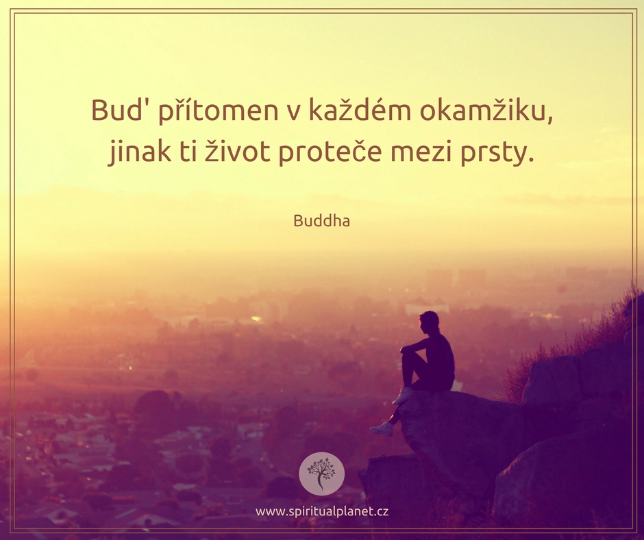 mindfulness, všímavost, bdělá pozornost 