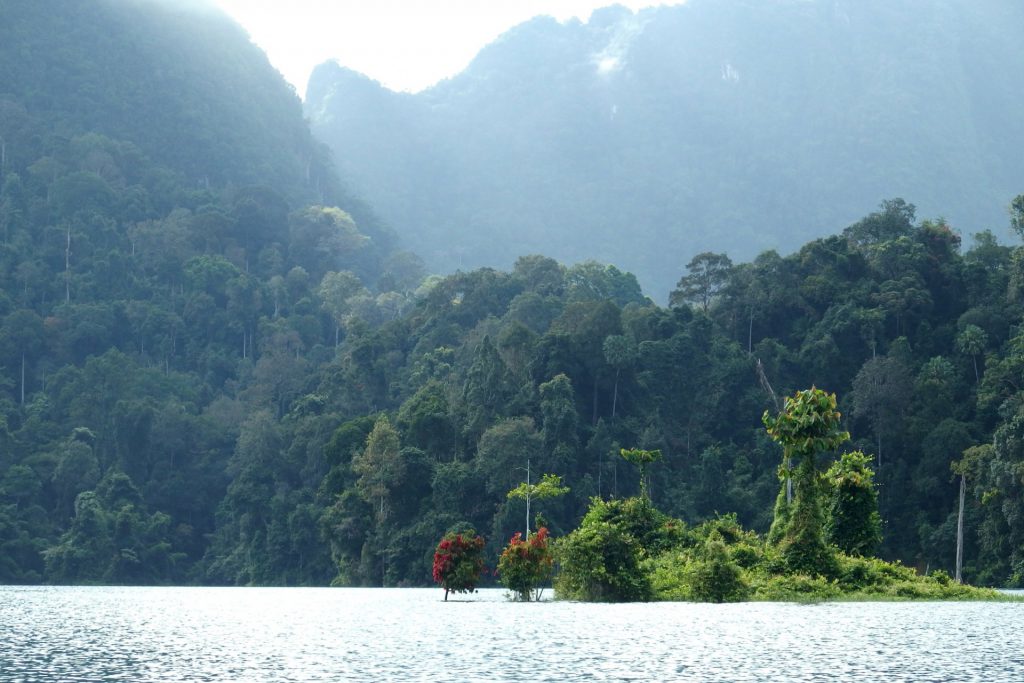 prales Khao Sok Thajsko