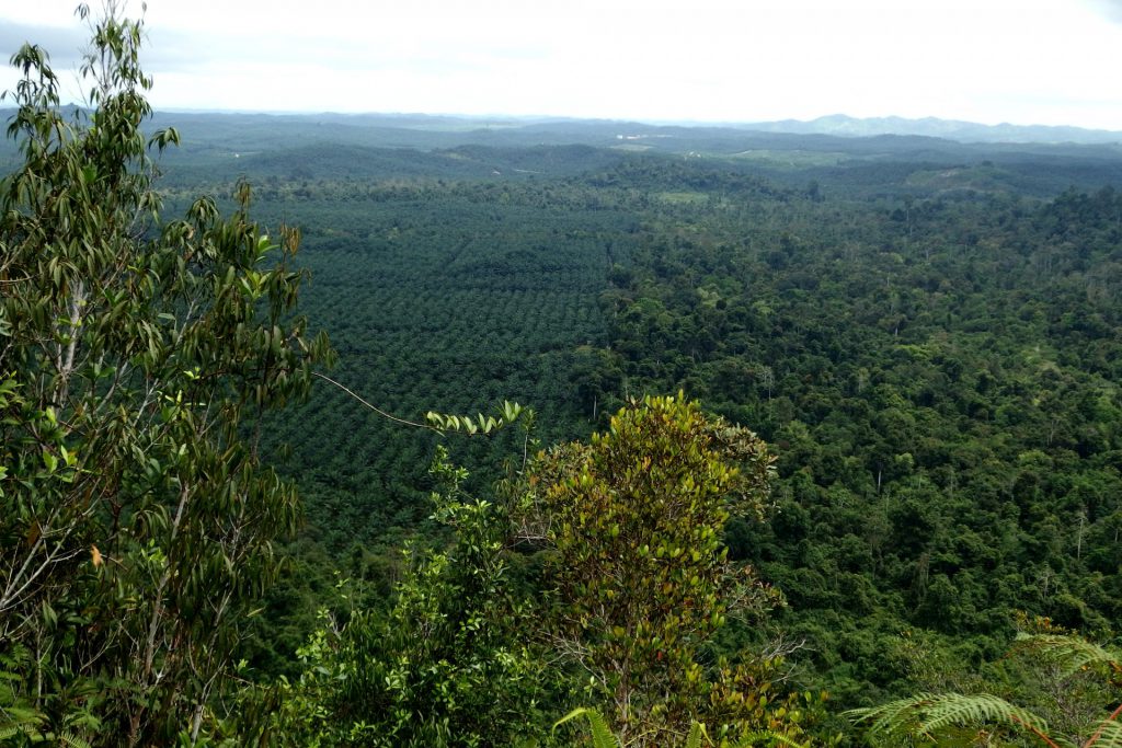 Sabah, Borneo, Malajsie