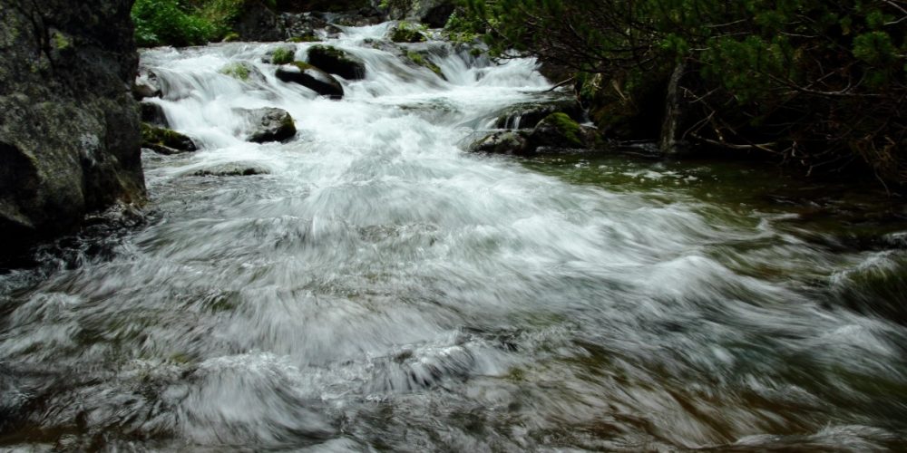 Psychologie otužování: Jak trvale a bezbolestně vyzrát na otužování?