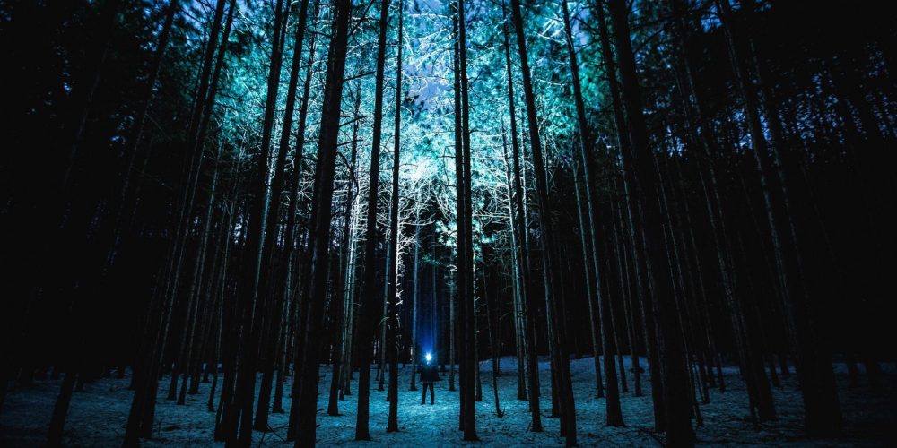 Revoluce vědomí – jak může vaše vnitřní transformace změnit vnější svět?