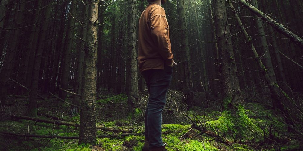 Raději zešílet v divočině, A. Palán: Samotáři svým životem útočí na základy našich existencí. Ustojíme jejich mírumilovný útok?