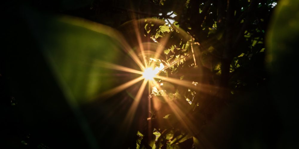 Minisérie se šamankou Veronikou Semei, část III: Co jsem se naučila ze 160 šamanských ceremonií